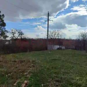 Фото к объявлению #22217253