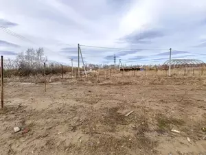 Фото к объявлению #22259986