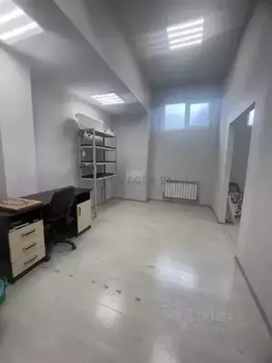 Фото к объявлению #22222805