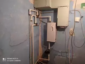 Фото к объявлению #20558683