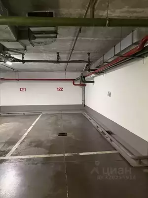 Фото к объявлению #22139539