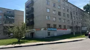Фото к объявлению #21722800