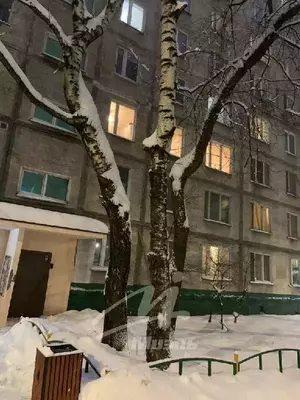 Фото к объявлению #20050750