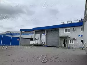 Фото к объявлению #21050210