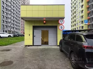 Фото к объявлению #22220300