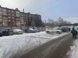 Фото к объявлению #21939105