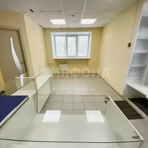 Фото к объявлению #22212829