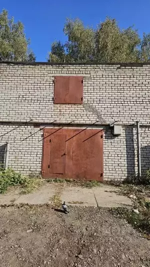 Фото к объявлению #21185493