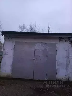 Фото к объявлению #21617004