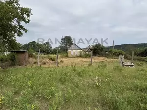 Фото к объявлению #22251346