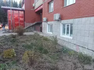 Фото к объявлению #22289119
