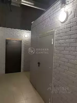 Фото к объявлению #22225068