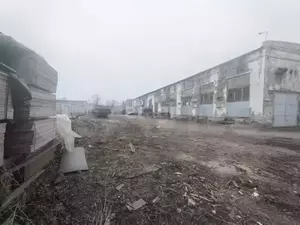 Фото к объявлению #22024003