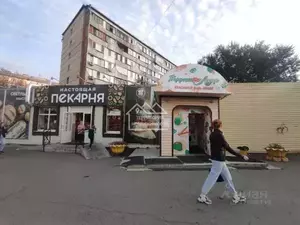 Фото к объявлению #20253829