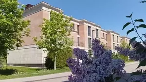 Фото к объявлению #22195635