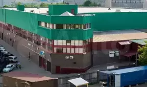 Фото к объявлению #21166436