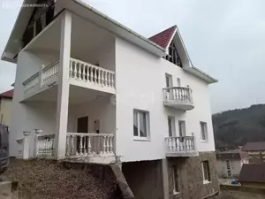 Фото к объявлению #20901822