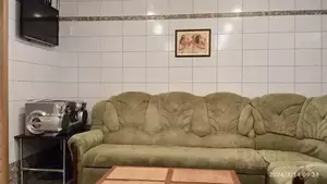 Фото к объявлению #22054378