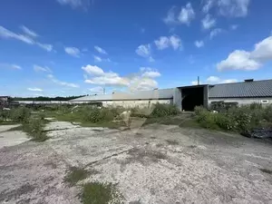 Фото к объявлению #22163031