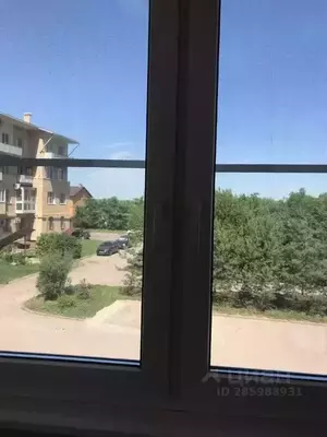 Фото к объявлению #21226582