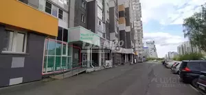 Фото к объявлению #22152172