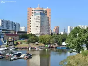 Фото к объявлению #22209732