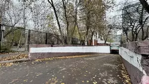 Фото к объявлению #21557256