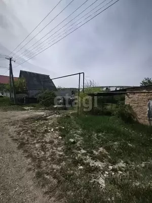 Фото к объявлению #20197880