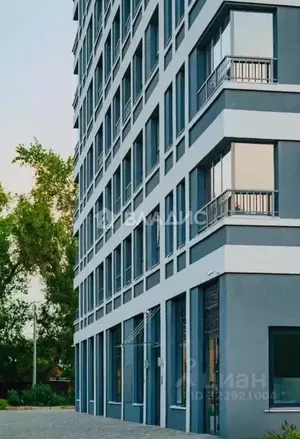 Фото к объявлению #22208404