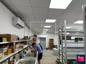 Фото к объявлению #20194629