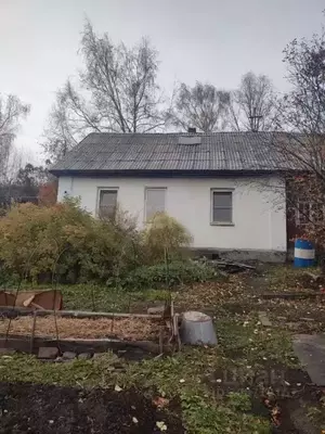 Фото к объявлению #21386487