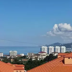 Фото к объявлению #22134203