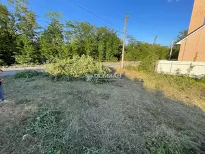 Фото к объявлению #22194565