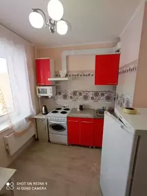 Фото к объявлению #21933961