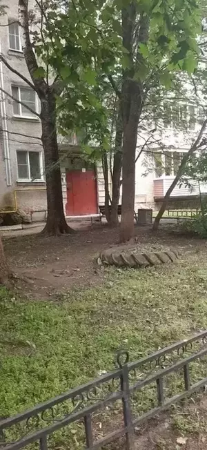 Фото к объявлению #20849981