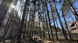 Фото к объявлению #22279353