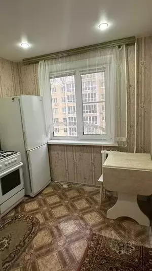 Фото к объявлению #22235857