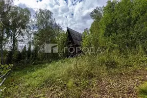 Фото к объявлению #21994253