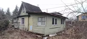 Фото к объявлению #20128079