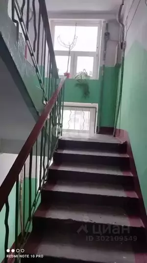 Фото к объявлению #21014803