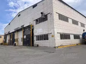 Фото к объявлению #22256849