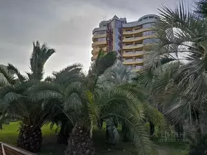 Фото к объявлению #21229421