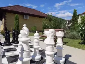 Фото к объявлению #20862451