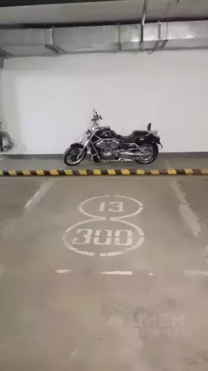 Фото к объявлению #21550201