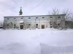 Фото к объявлению #22278074