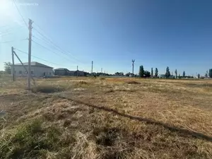 Фото к объявлению #22151652