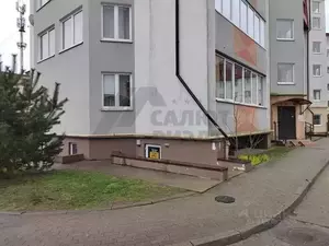 Фото к объявлению #22057206