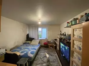 Фото к объявлению #21248931