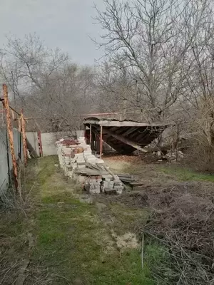 Фото к объявлению #22195571