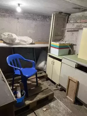 Фото к объявлению #22211524